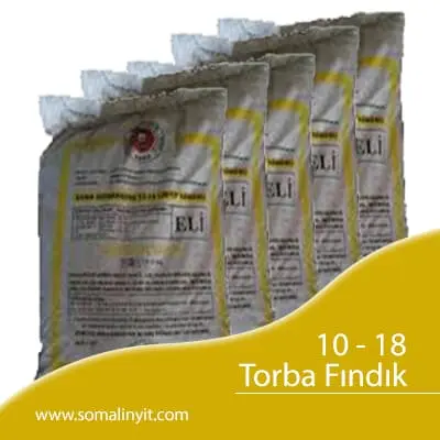 Fındık Kömür